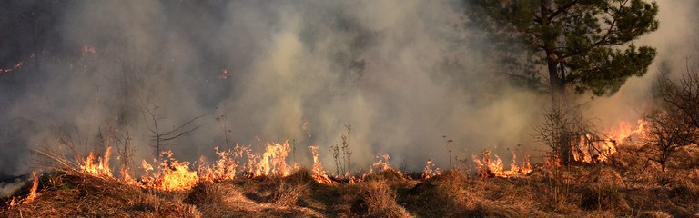 incendi-forestal-panoramica.jpg