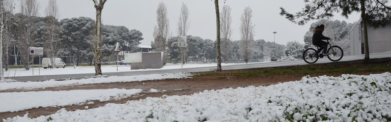 nevada-panoramica.jpg